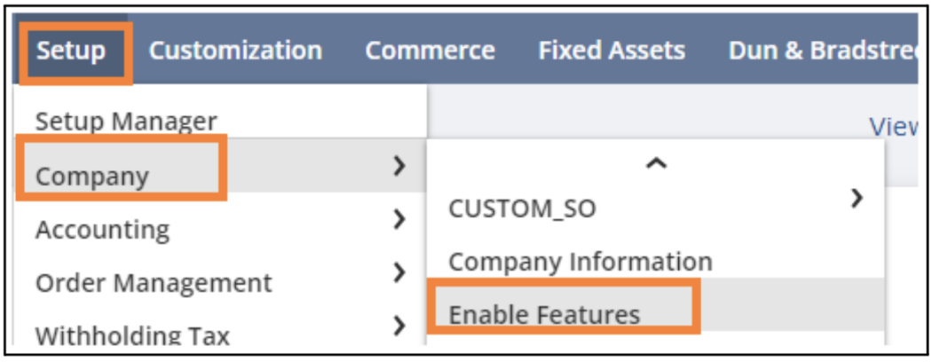 netsuite multi currencies