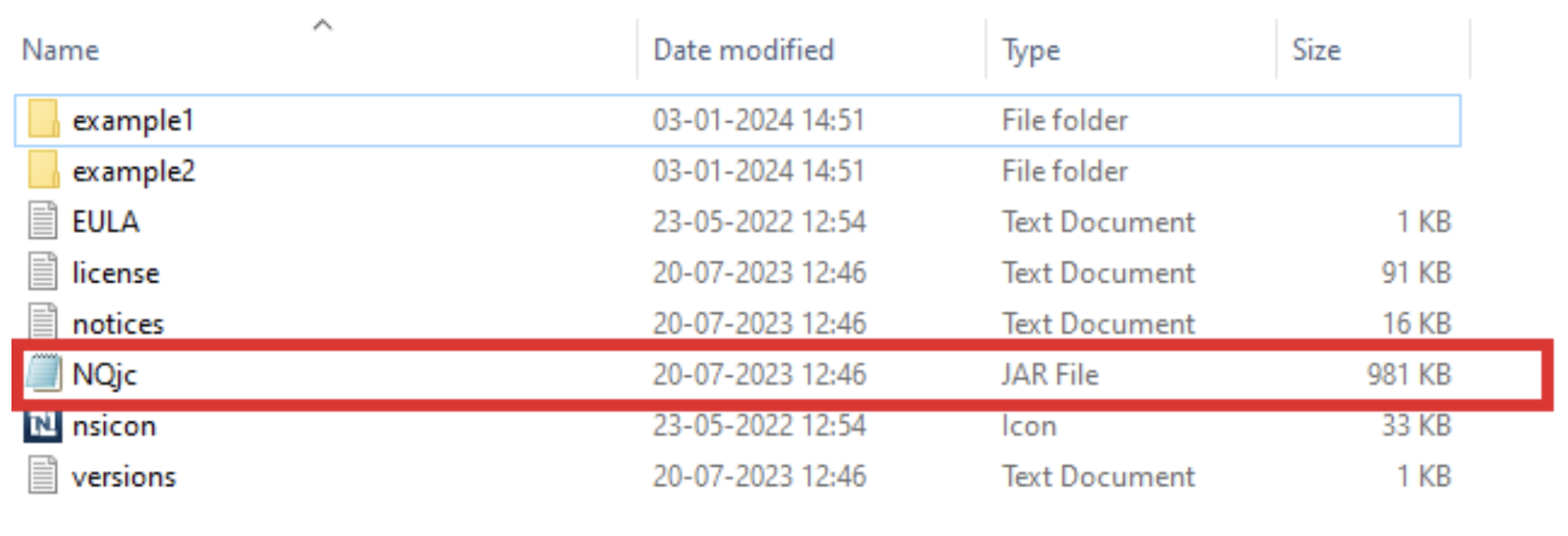 NetSuite Boomi database query