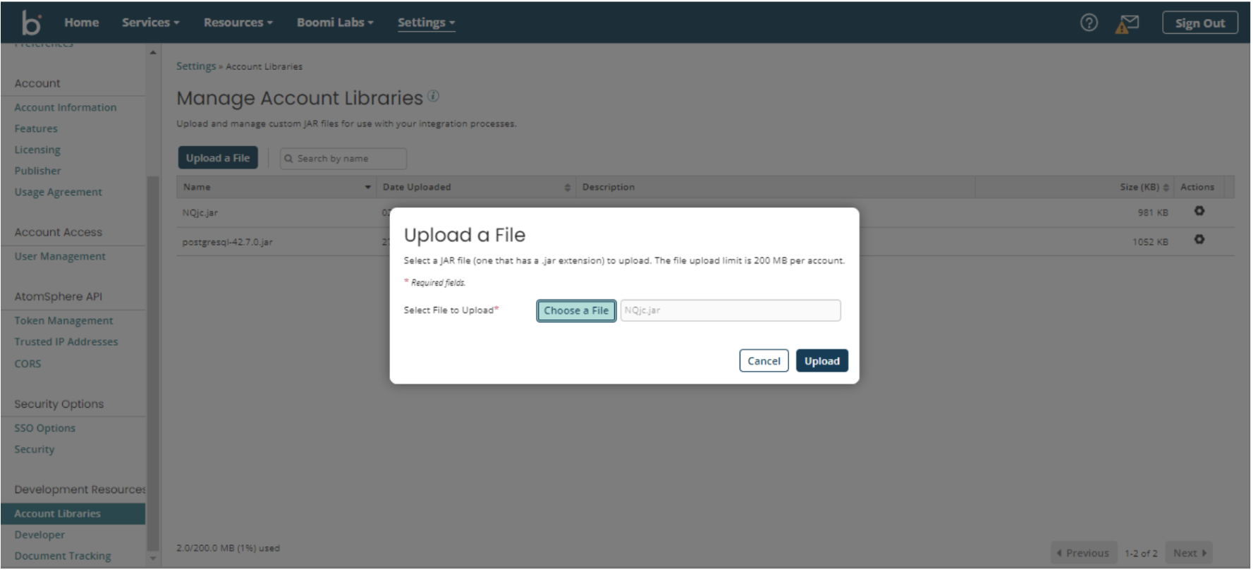 NetSuite Boomi database query