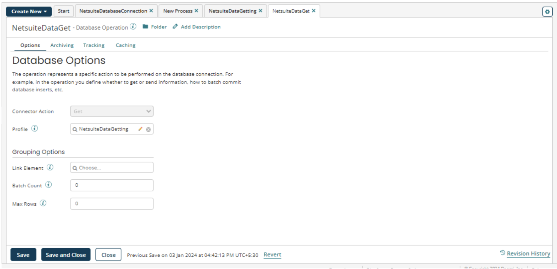 NetSuite Boomi database query