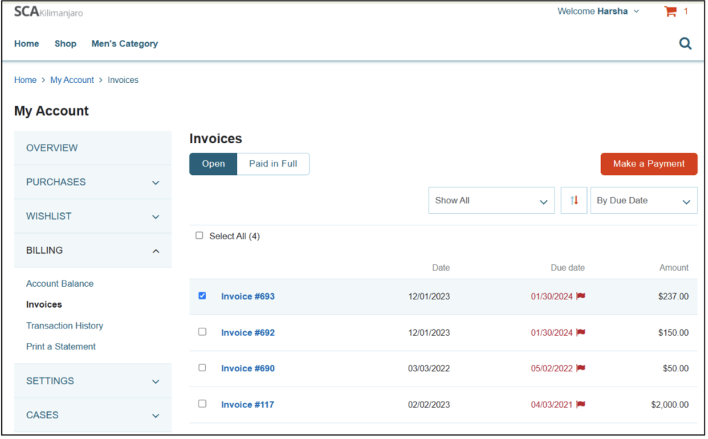 suitecommerce advanced make payments